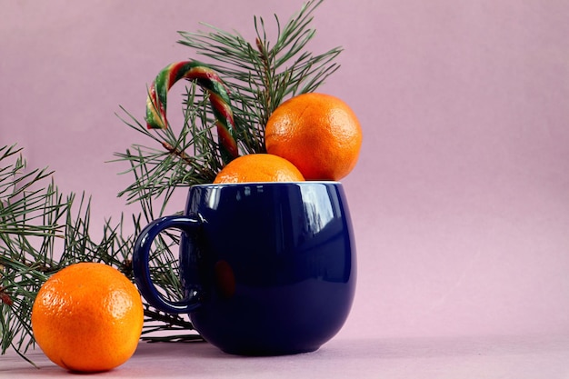 Blue mug with tangerines a pine branch and caramel next to it lies a tangerine pastel background space for text