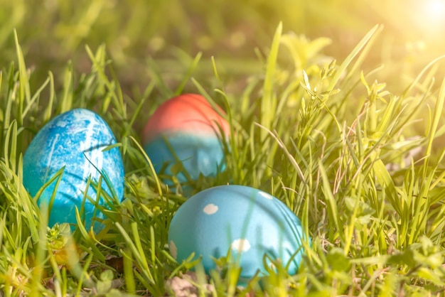 blue organic easter eggs, easter concept backgrounds