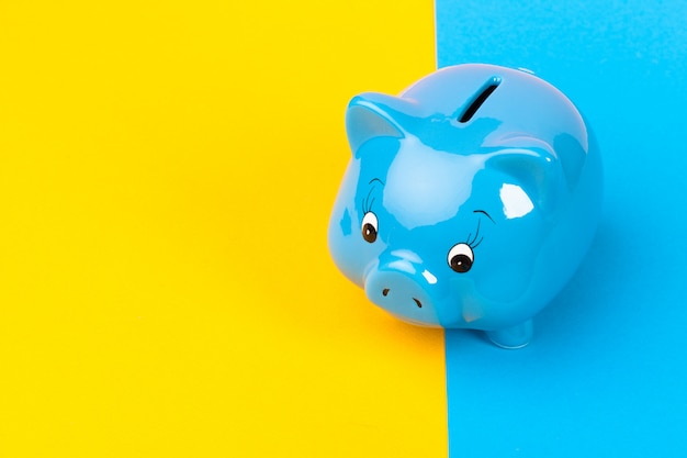 Blue piggy bank money box on bright colored 