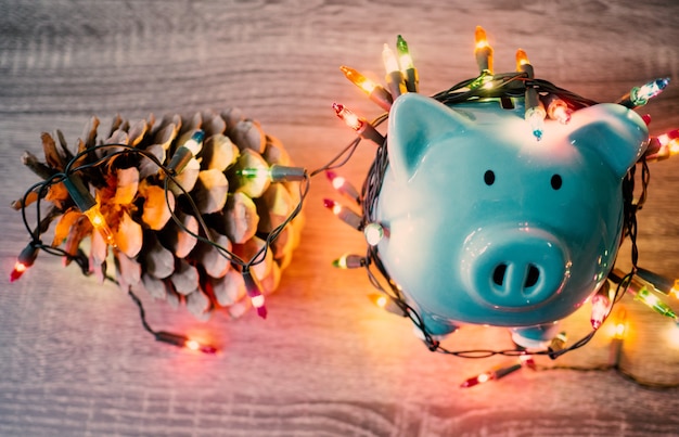 Blue piggy bank and pinecone with Party lights, Enjoy savings for the holidays concept.