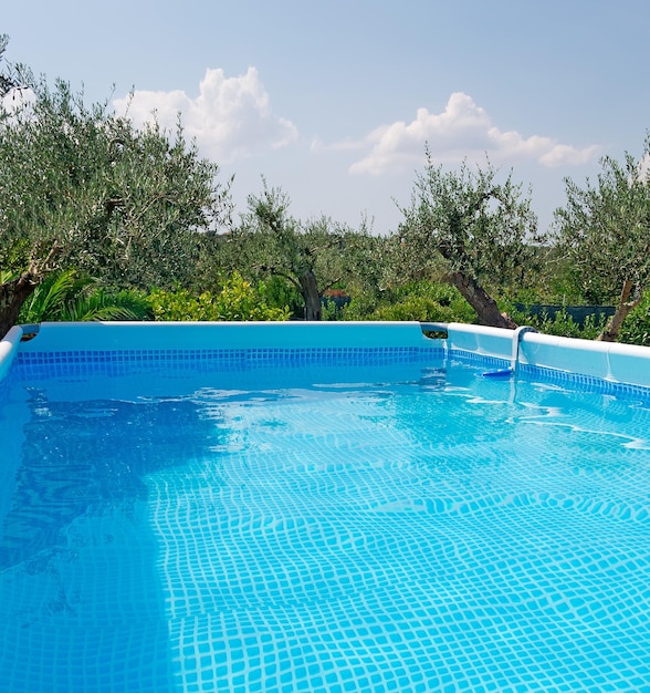 Blue pool surrouded by vegetation