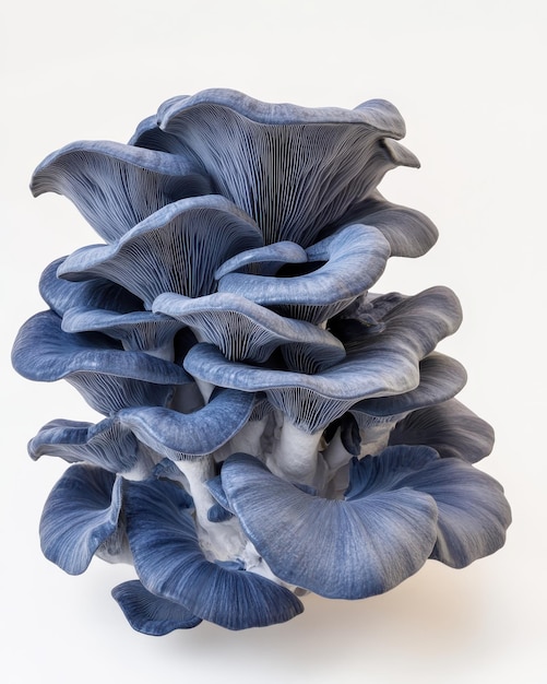 Photo a blue and purple mushroom is shown with a white background