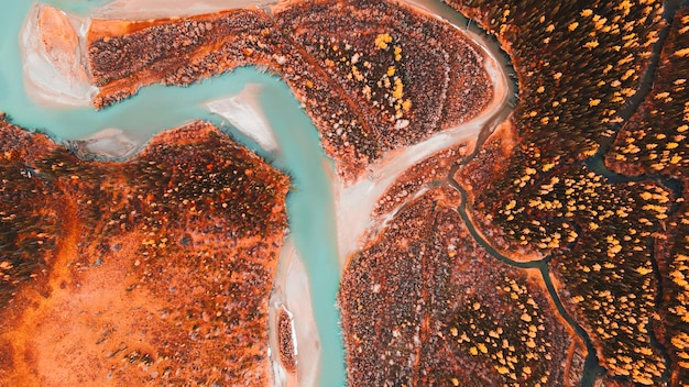 Blue river with yellow autumn trees in the mountains Chuya river in Altai mountains Russia