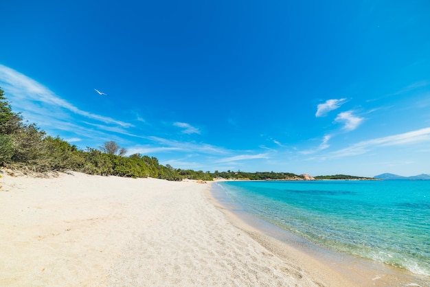 Blue sea over La Celvia beach