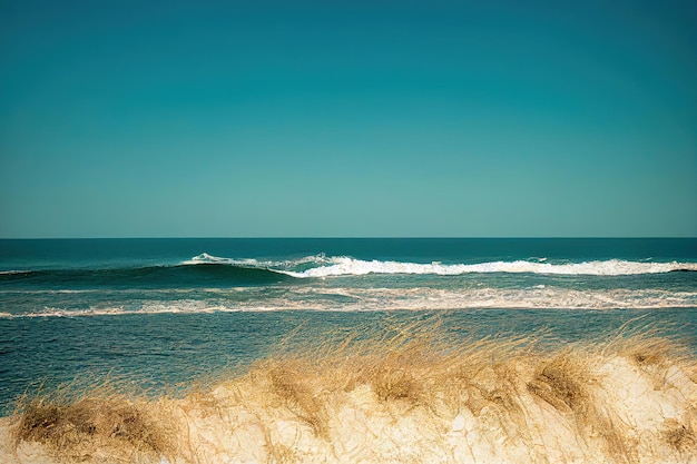 Blue sea and white sand beach