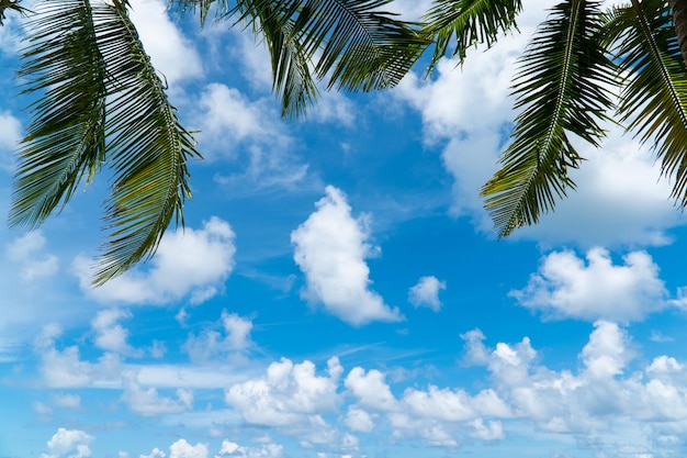 Blue sky background while cloud