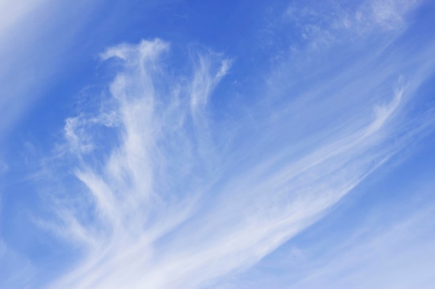 blue sky and clouds in sunny day