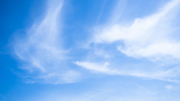 Blue Sky white Cloud Background Sunlight Day with Sky Wallpaper BackdropMockup Nature Landscape Free Space BackdropCard or Poster for Environment Protection