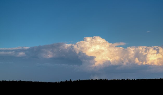 Blue sky and white clouds, wide panorama. Space,. Dark strip forest. Concept space