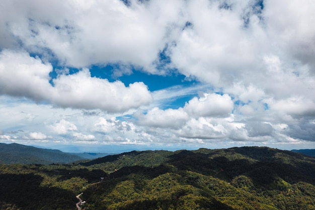 Blue sky with clouds green forest in the morning