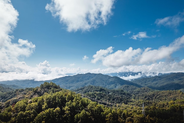 Blue sky with clouds green forest in the morning