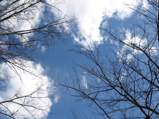 Blue sky with clouds