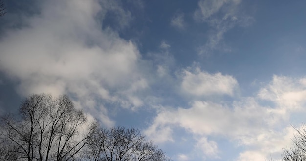 blue sky with white clouds and trees without foliage in winter