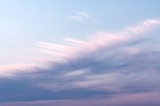 Blue sky with white and pink clouds that form a feather pattern. Concept landscape, abstraction.