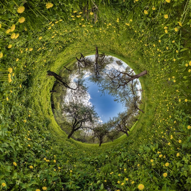 Blue sphere little planet inside green grass round frame background with dandelions