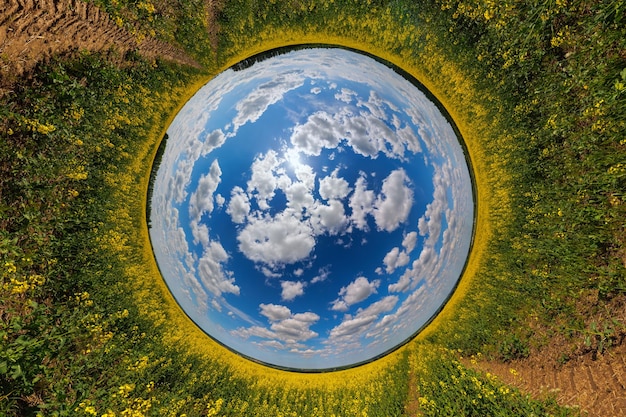 Blue sphere reversed little planet view of yellow blossoming rapeseed field round tunnel view