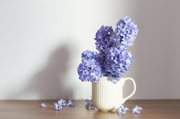 blue spring flowers in ceramic cup om white background