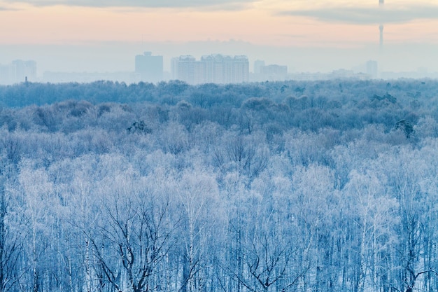 Blue sunrise in very cold winter early morning