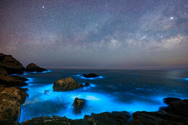 Photo blue tears noctiluca under the starry sky photographed in matsu taiwan