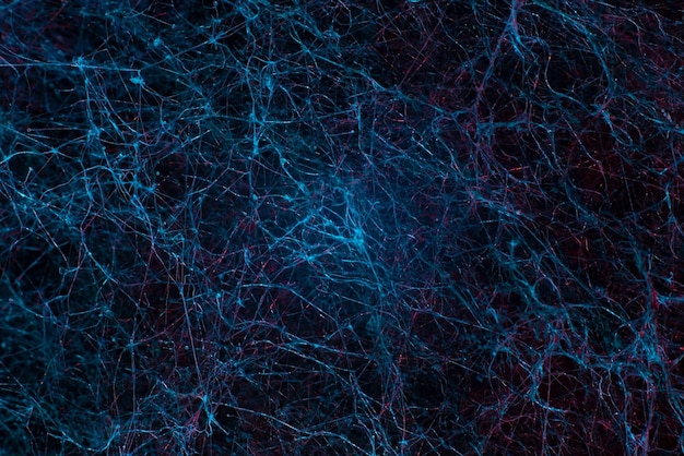 Blue texture network abstraction natural mycelium mold neurons