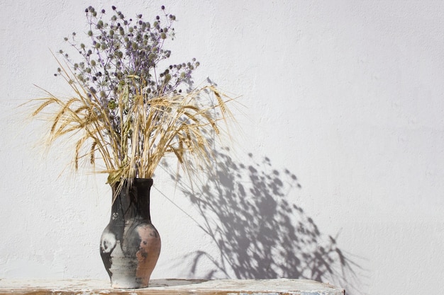 Blue thorns and ears of wheat in an old ceramic jug against a white wall background