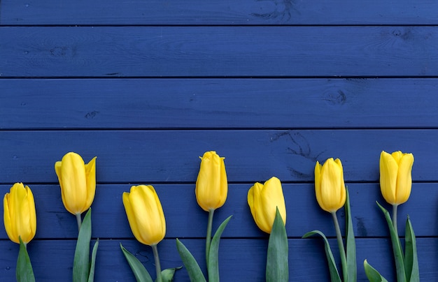 Blue tulip flowers on wooden backdrop