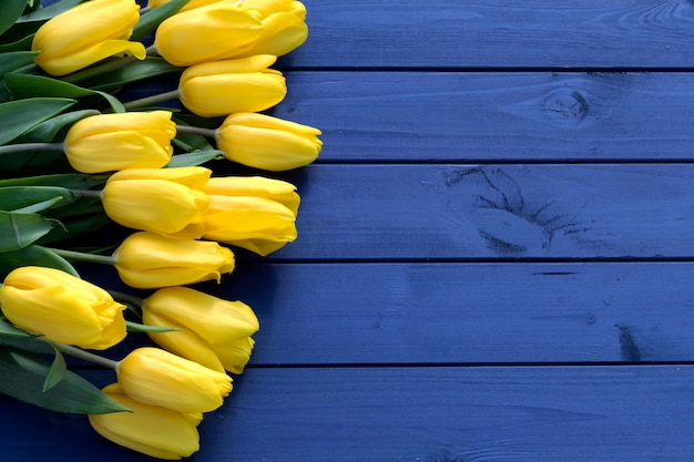 Blue tulip flowers on wooden backdrop