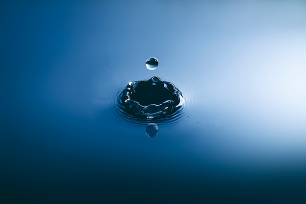 Blue water drop falling down and circles wave.