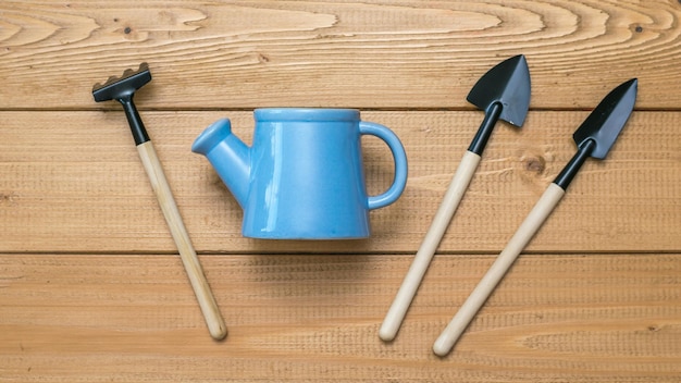 Blue watering can and a set of shovels on a wooden background