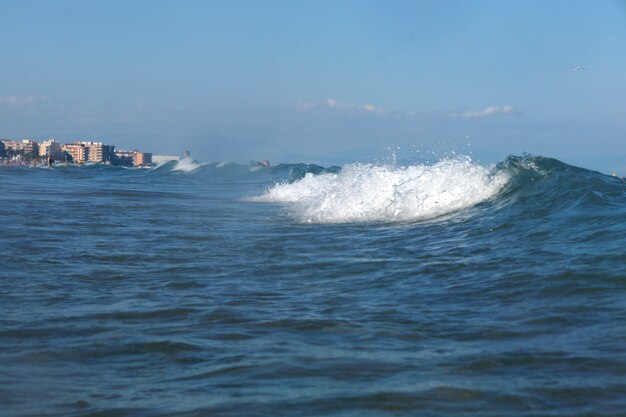 Blue wave goes to the shore