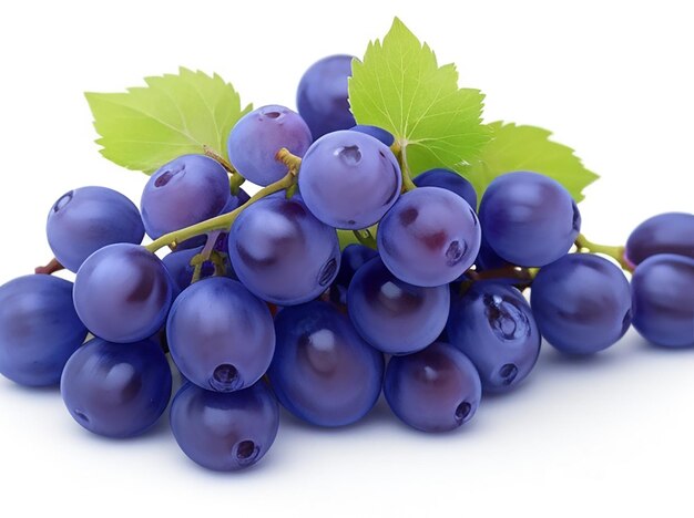 Blue wet grapes bunch isolated on white background