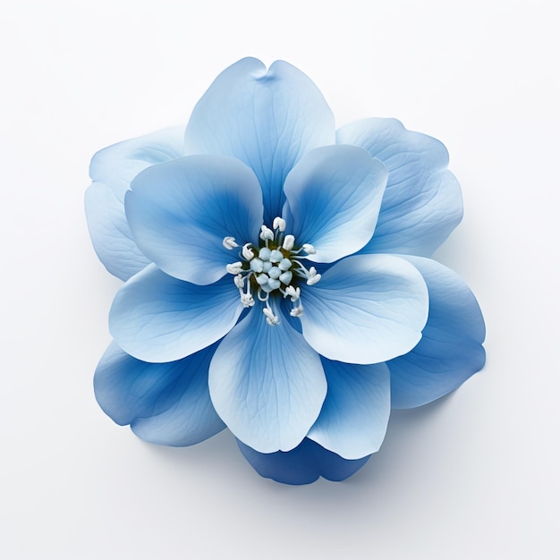 a blue and white flower with a white center and the top half of it is a blue flower