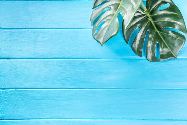 Blue wooden background tropical leaves