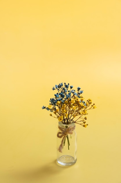 Blue and yellow gypsophila flowers on yellow background Ukrainian symbolic colors vertical photo