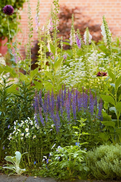 Bluebell Lavender and Foxgloves growing outdoors Purple and white blooms in harmony with nature tranquil wild plants in a zen quiet backyard Beautiful flowers in a green garden in summer