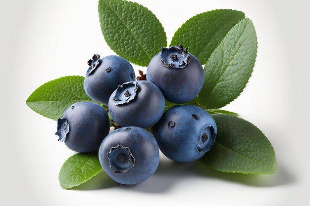 Blueberries in abundance on a white background Isolated