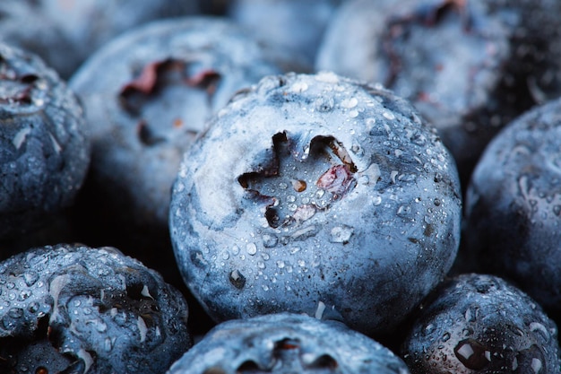 Blueberries background Closeup ripe blueberries macro shot