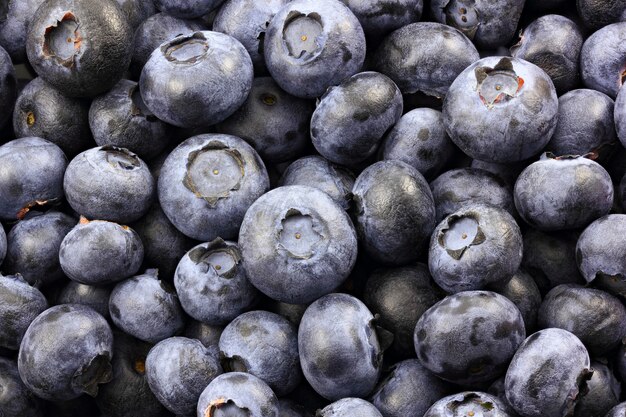 Blueberries in bulk with blue plaque close-up of a lot of berries. Full depth of field, macro.