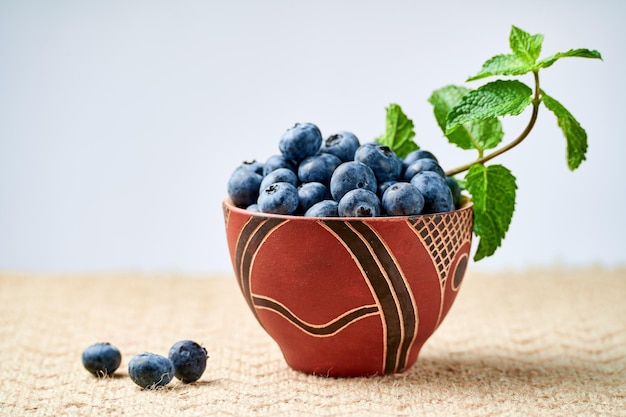 blueberries in a ceramic bowl on a light background