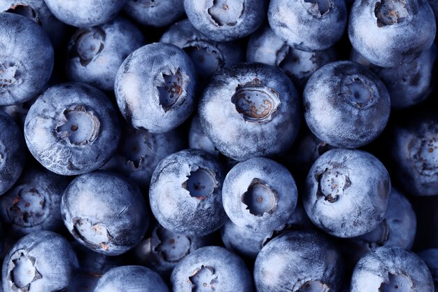 Blueberries closeup as background. Top view. Print