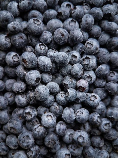 Blueberries Closeup Background