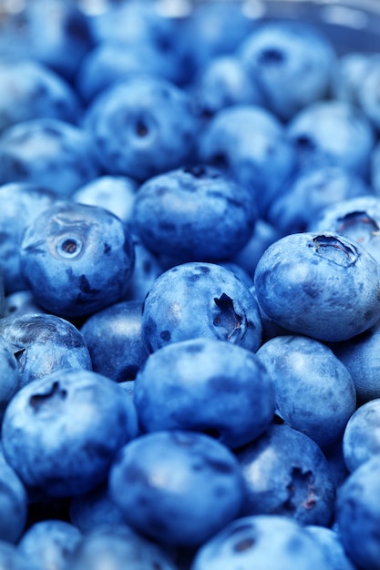 blueberries closeup