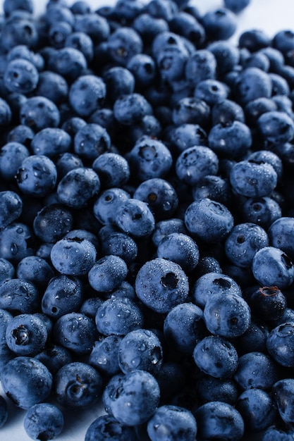 Blueberries with water drops Blueberry summer seasonal berry Many natural organic blueberries