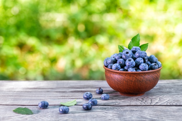 Blueberry berries in clay bowl