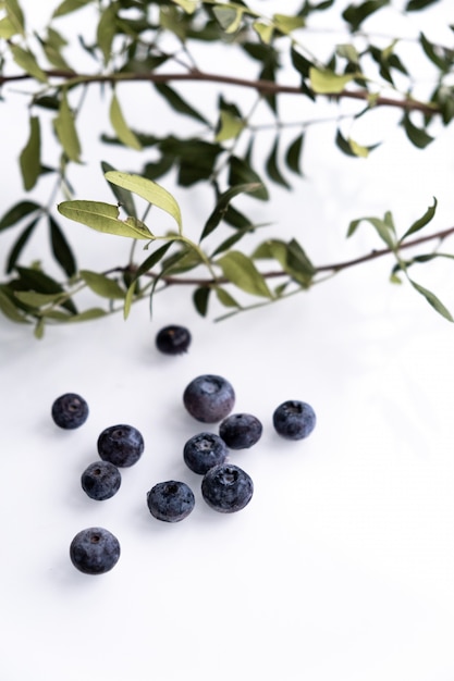 Blueberry berries on a white background surrounded by green leaves