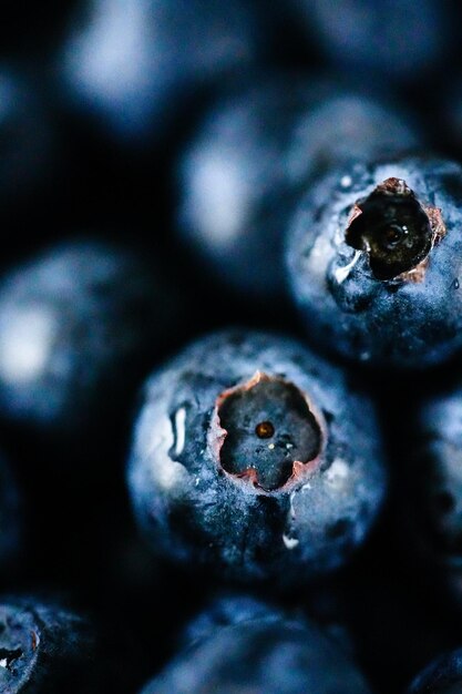 Photo a blueberry in a black container with a few other blueberries