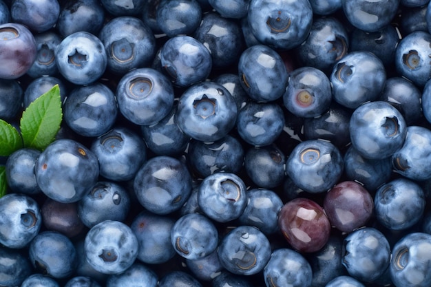 Blueberry fresh organic fruit Forest natural Generate Ai