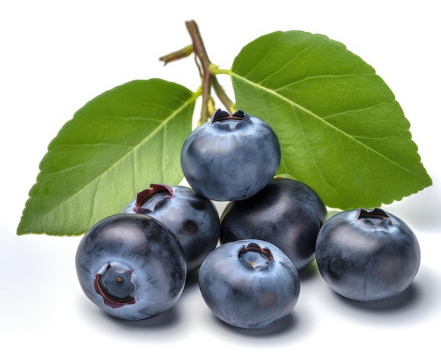 Blueberry isolated Blueberry with leaves on white Bilberry on white background Full depth of field