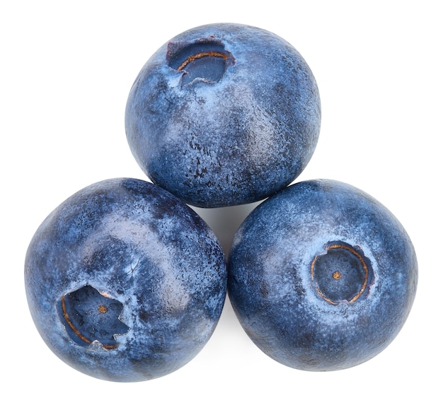 Blueberry Isolated with on a white background.