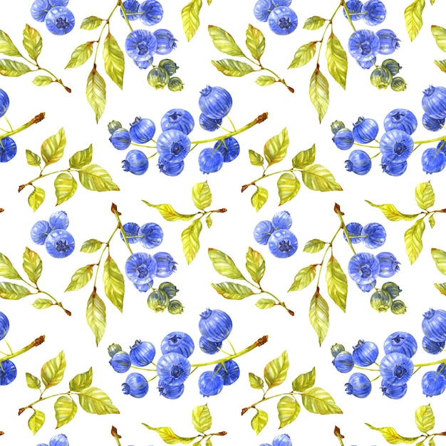 Blueberry seamless pattern Green leaves and ripe berries on white background Illustration